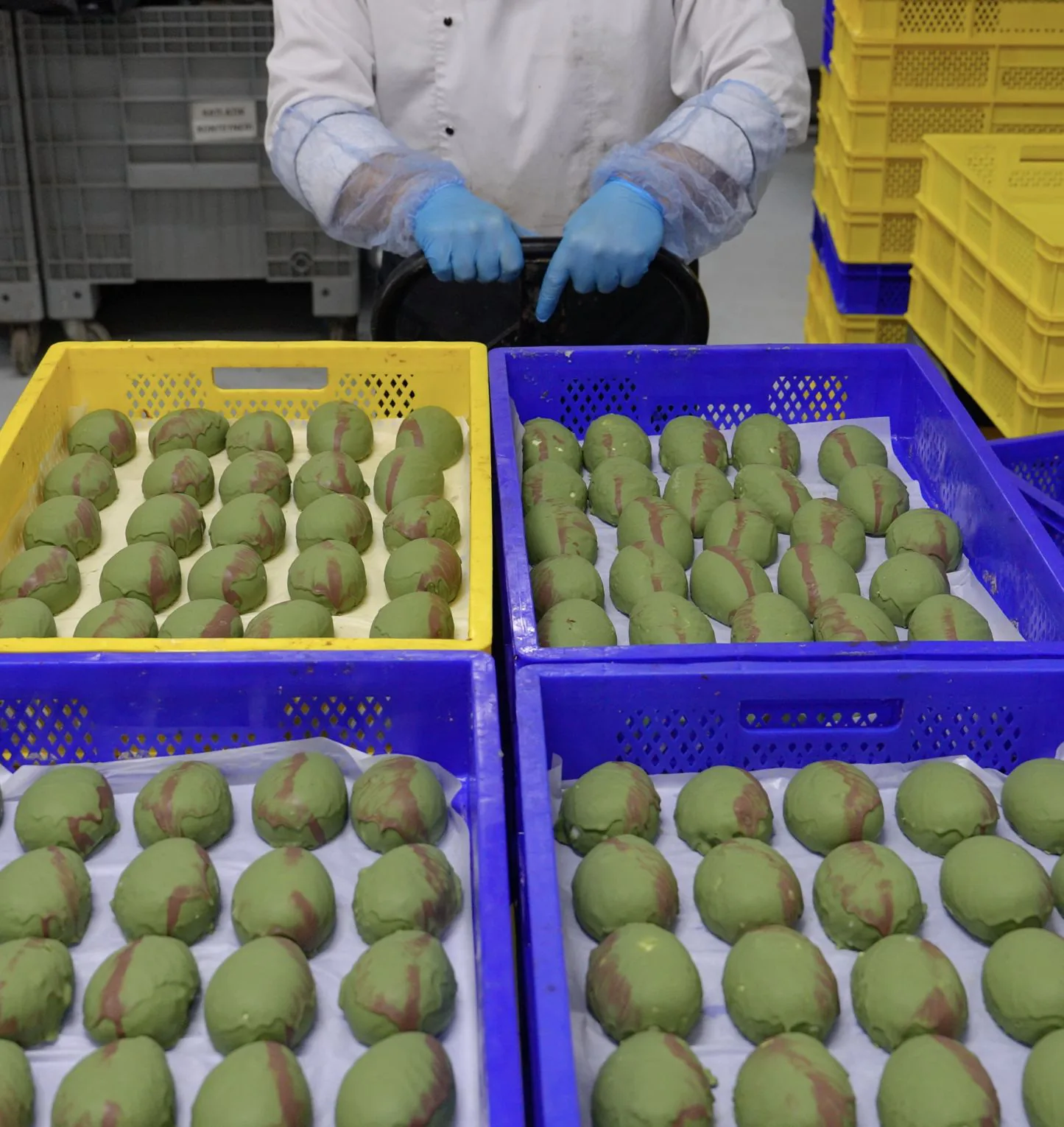 Produktion Frozen Cake Factory – Schockfrosten und Verpacken
