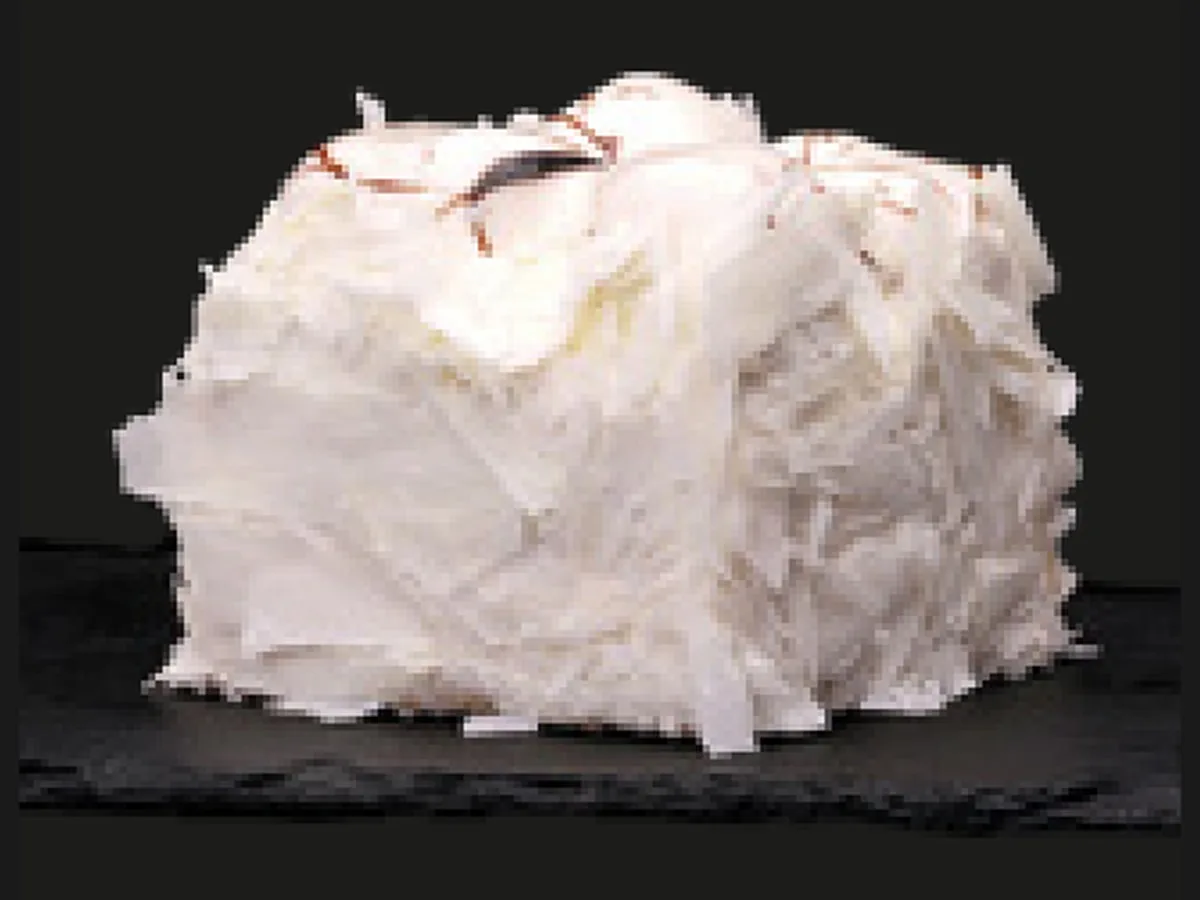 Weiße Profiteroles-Torte – HORECA Cakes der Frozen Cake Factory, tiefgekühlte Einzelportion