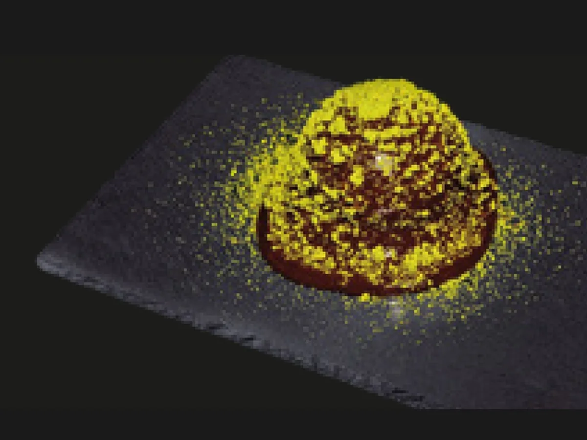 Pistazien-Perla – HORECA Cakes der Frozen Cake Factory, tiefgekühlte Einzelportion
